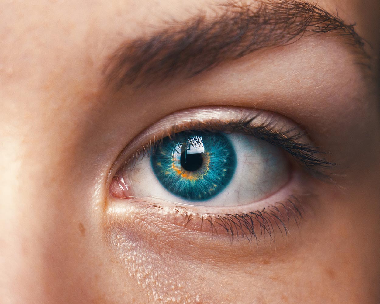Data Privacy and Protection Roundup: January 2019 Edition