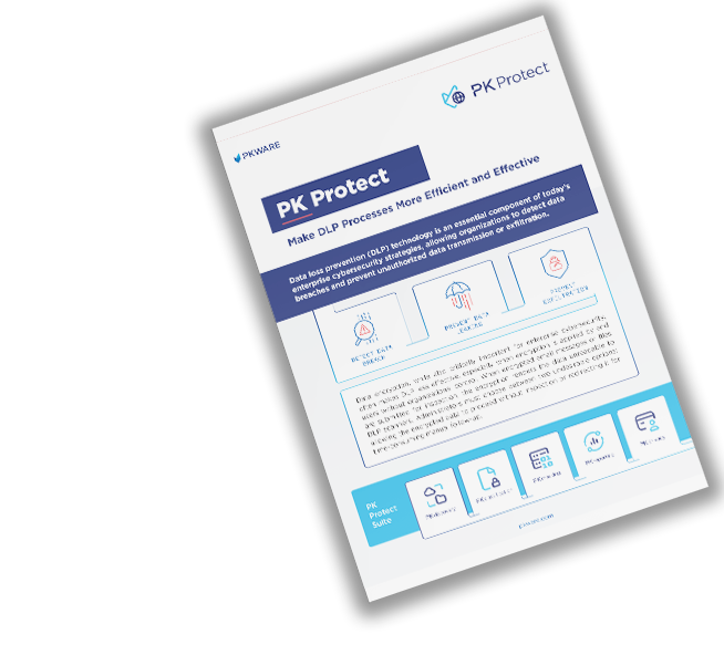 PK Protect: Make DLP Processes More Efficient and Effective