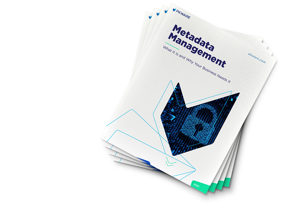 ebook - Metadata Management: What It Is and Why Your Business Needs It