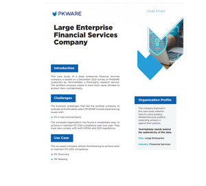 Large Enterprise Financial Services Company