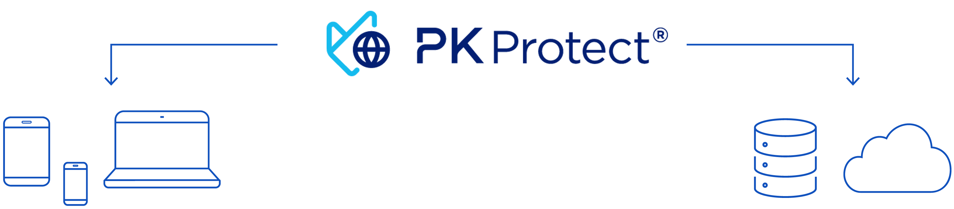 PK-Protect_Diagram-PEM-DSM-final