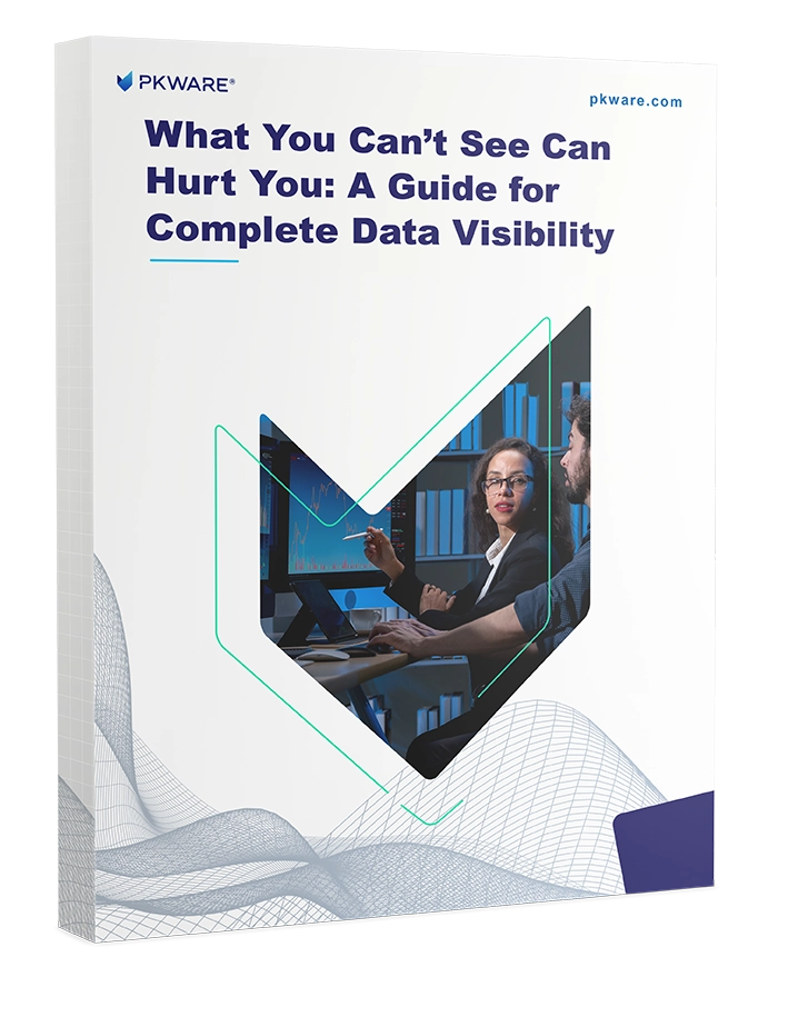 White Paper Complete Data Visibility: A Comprehensive Guide